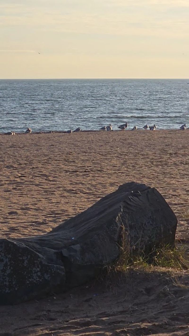 Beach Walks Tell A Different Story Now