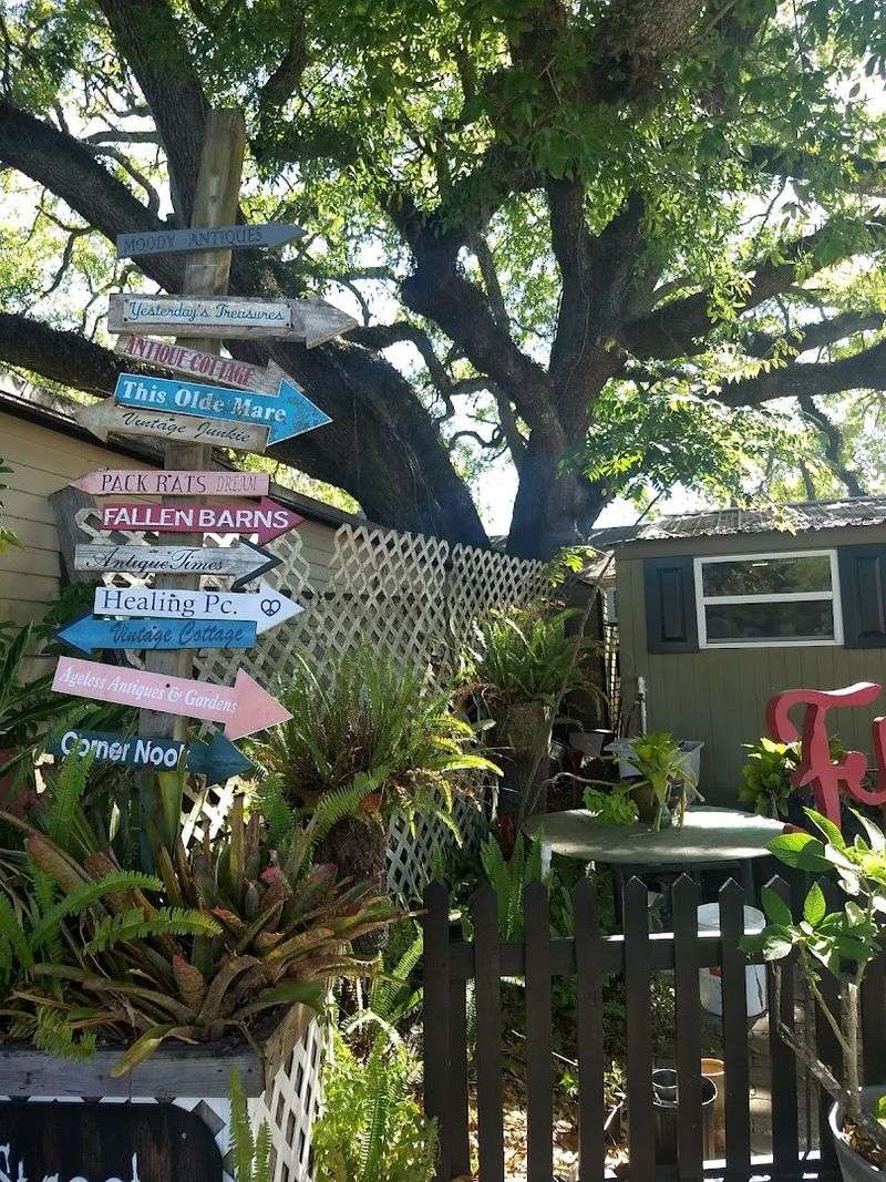 117 Acres Of Rolling Hills And Spanish Moss