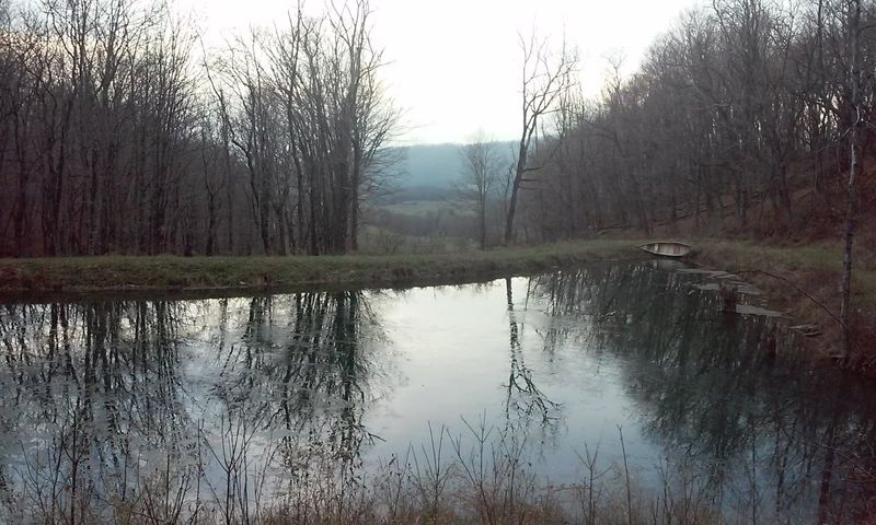 The Jackson River Running Through It All