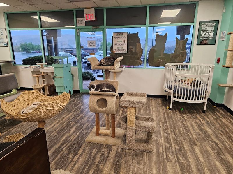 A Mission That Goes Beyond the Latte