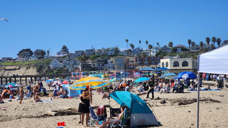 The Beach Scene Gets Much Busier Than Expected