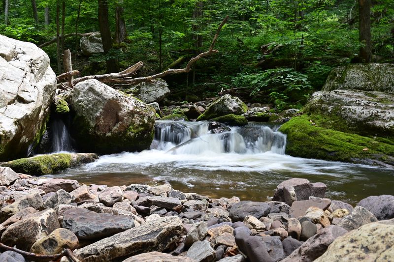 Little Stony Creek: The Trail's Constant Companion