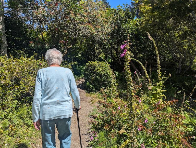 Ponds, Creek, and the Gentle Sound of Moving Water