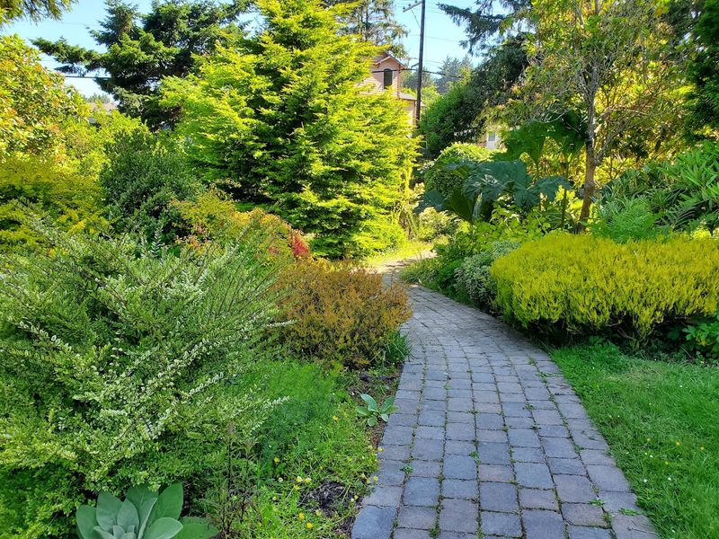 Peaceful Pathways Built for Wandering