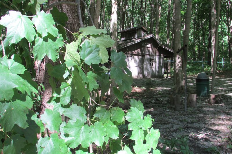 Five Miles of Trails Through Wooded Terrain