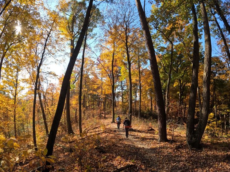 Indiana's Longest Footpath and the Serious Challenge It Brings