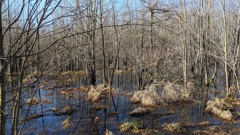 Scenic Beauty That Shifts With Every Season