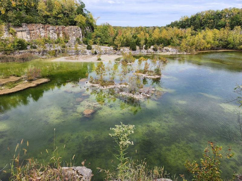 Wildlife Encounters That Surprise Even Seasoned Nature Lovers