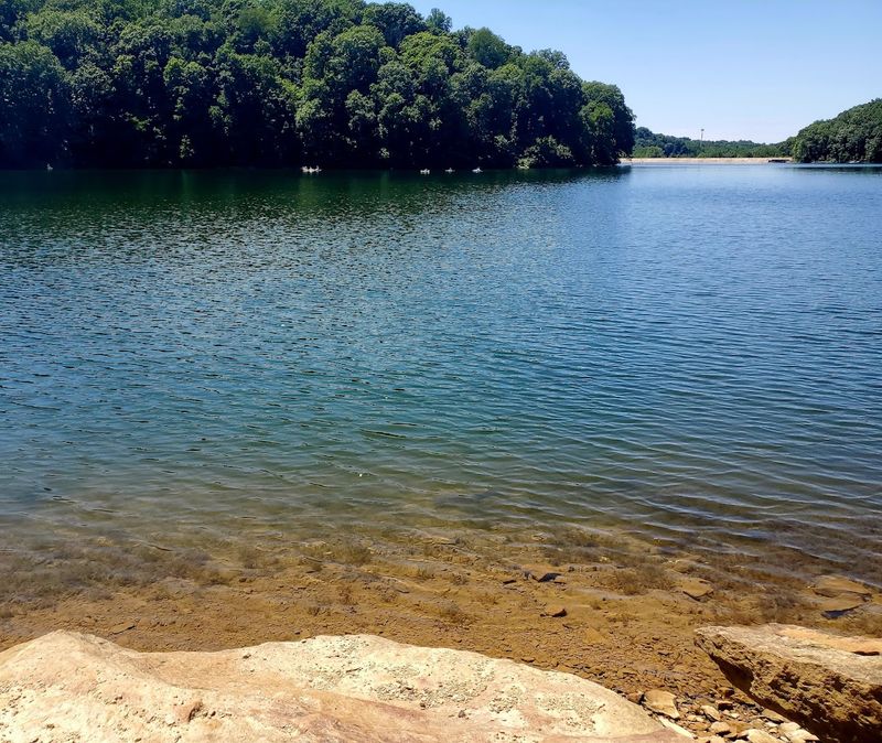 Historical Roots Going Back to the 1920s