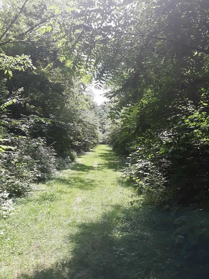 Well-Maintained Trails Suitable for All Experience Levels