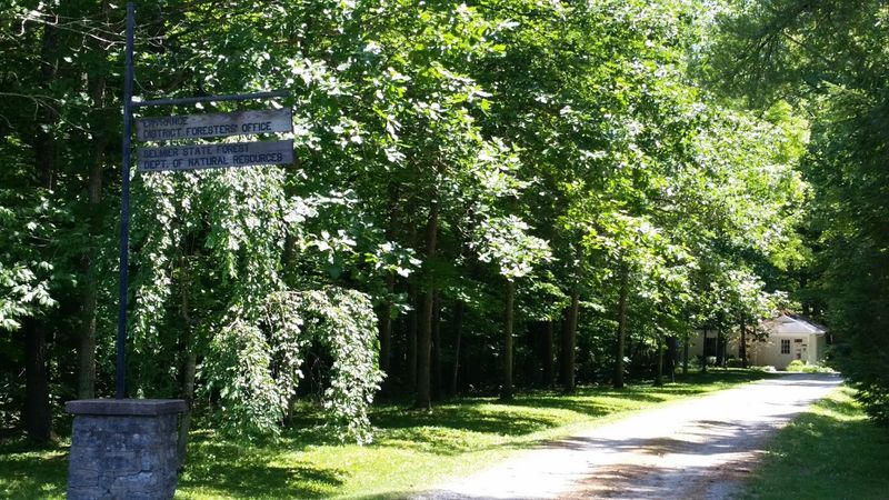 The Self-Guided Forest Management Trail Teaches As You Walk