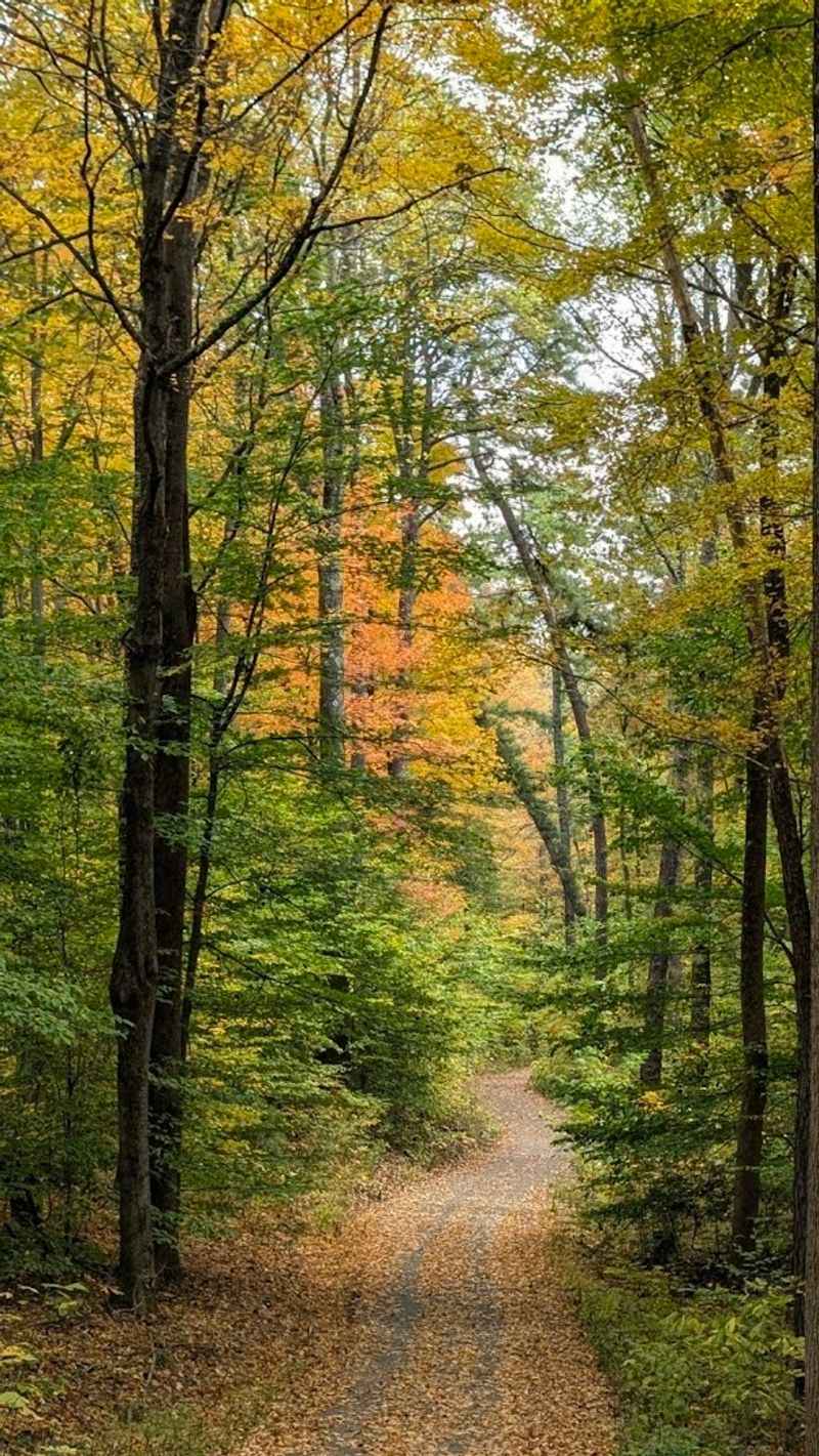 Wildlife Encounters Around Every Bend