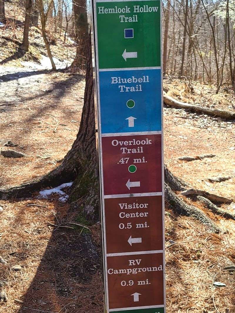 Biking, Horseback Riding, and Getting Around in Style