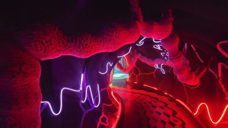 The Looking Glass Immersive Art Experience