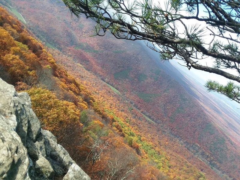 Autumn Foliage Season at Its Most Spectacular