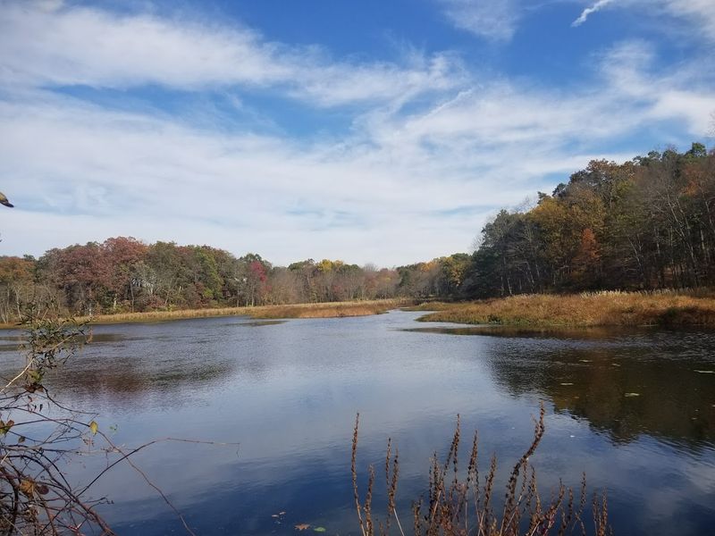 Fishing at the Pond on a Spring Morning