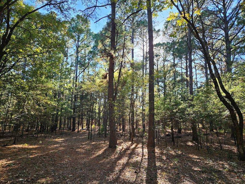 Wildlife Encounters That Remind You Who Lives Here Year-Round