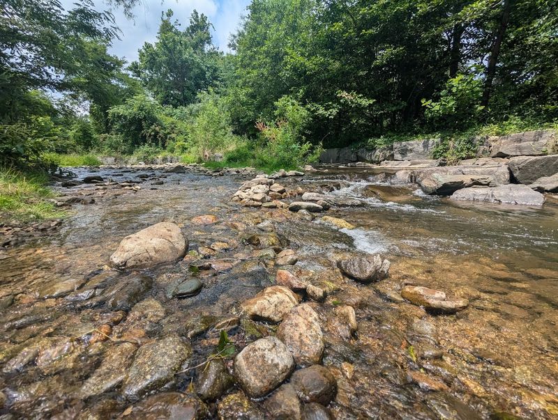 The Quarry Gardens at Schuyler: Art Meets Geology in Nelson County