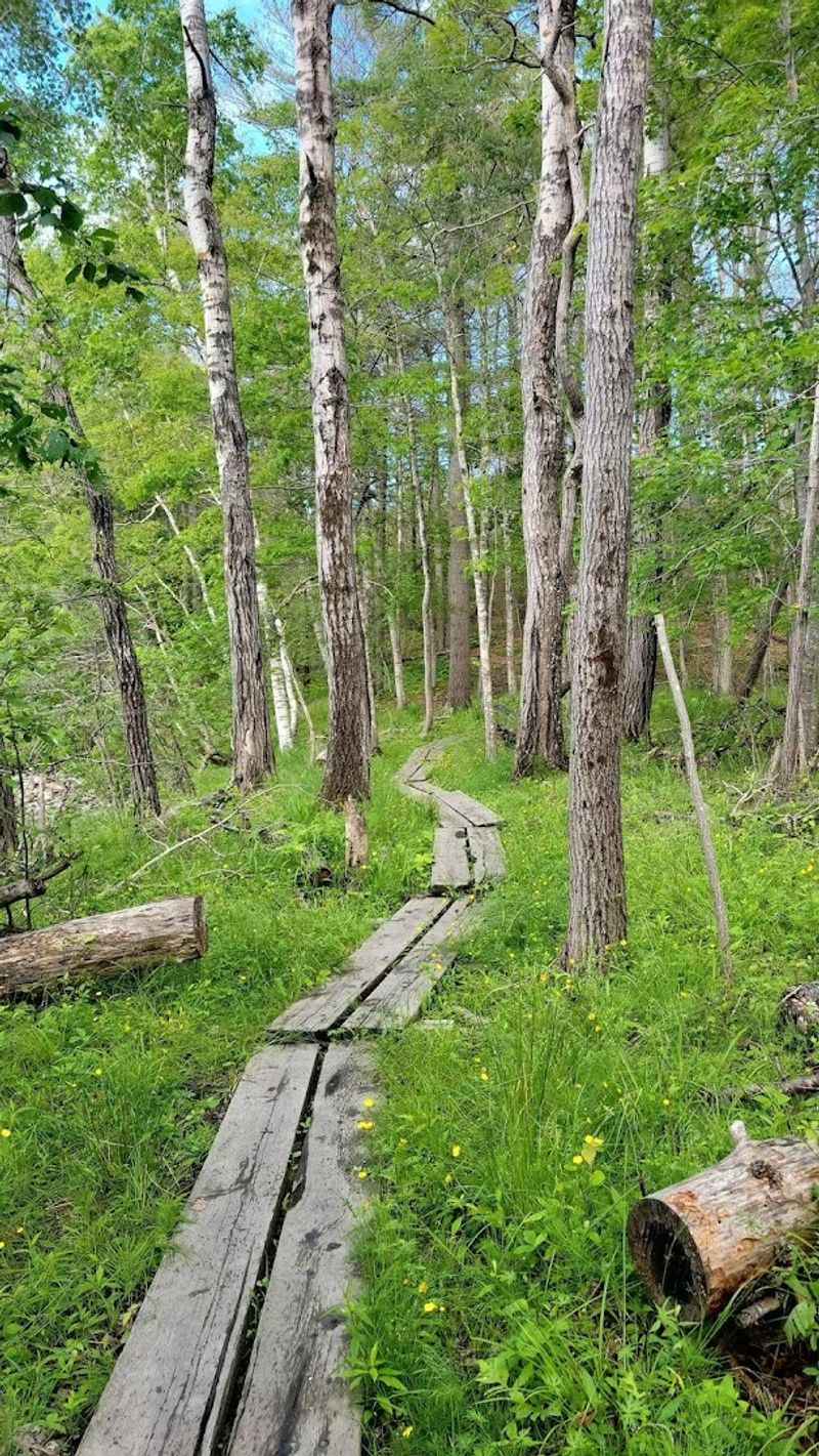 A Quiet World That Feels Surprisingly Worlds Away