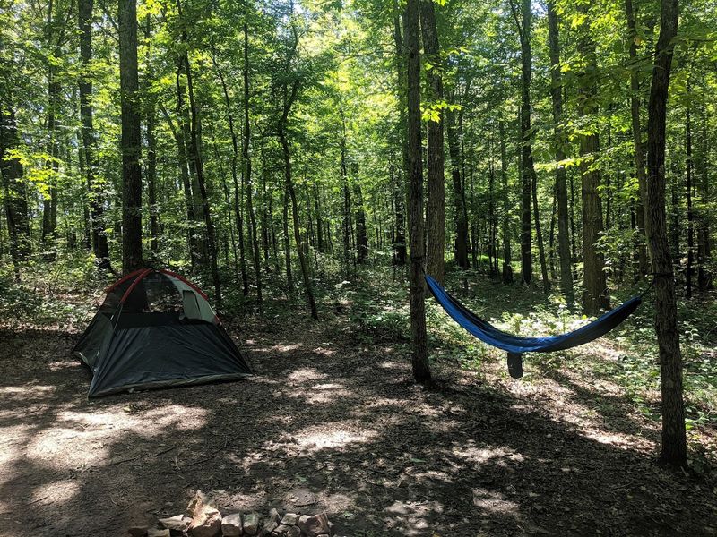 Green Ridge State Forest