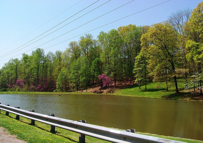 Patrick County's Dark Sky Legacy: Why This Corner of Virginia Is Special