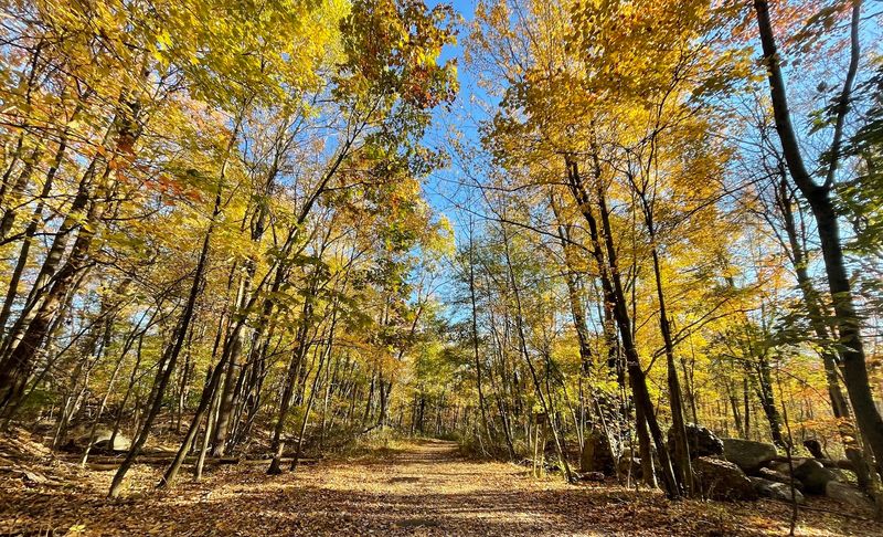 Best Times to Visit and What to Expect