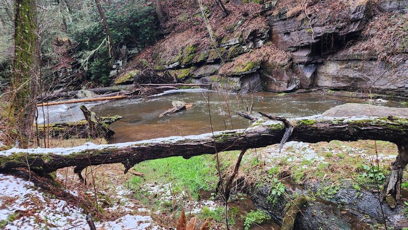 Seasonal Magic: What Each Time of Year Brings to the Glen