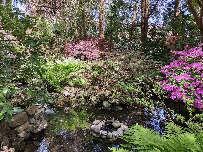 The Japanese Garden That Catches Everyone Off Guard