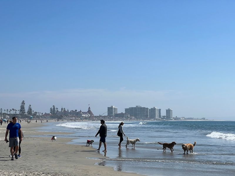 Coronado Dog Beach – San Diego