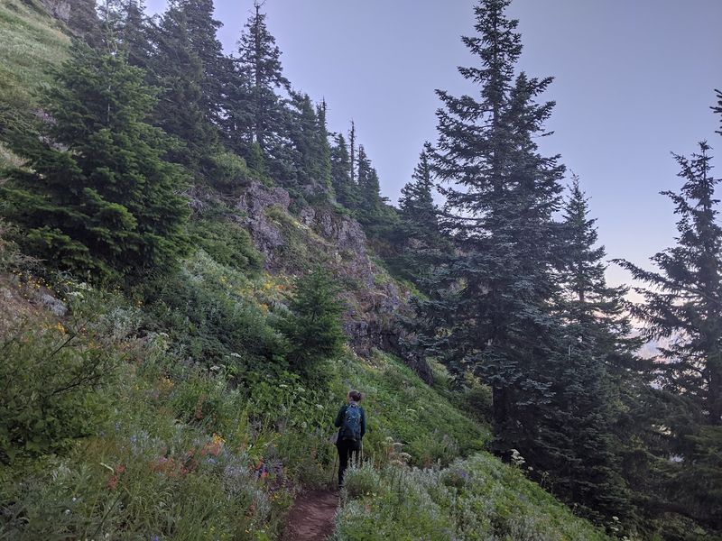 Iron Mountain, Sweet Home, Cascade Range, Oregon