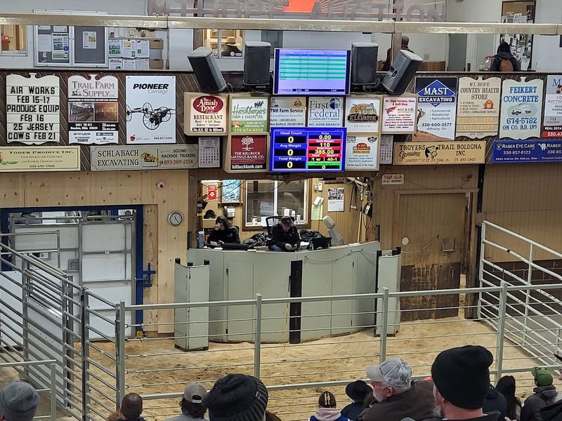 A Weekly Livestock Auction Since The Nineteen Forties
