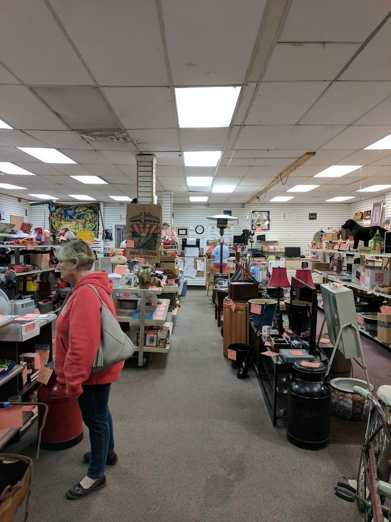 The Thrill Of Finding Hidden Gems Around Every Corner