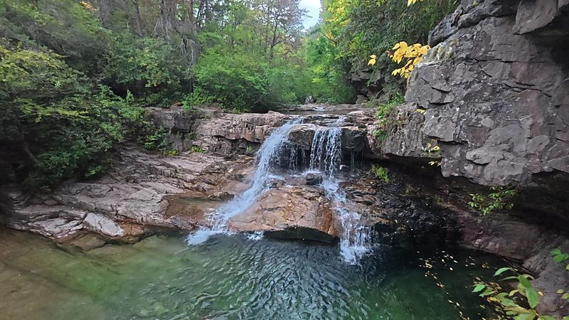 Wildlife and Biodiversity in Augusta County's Wild Heart