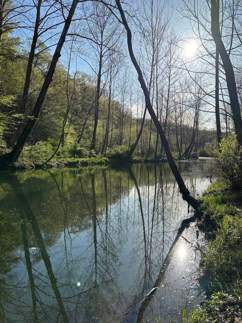 Rich Wildlife You Can Actually Spot