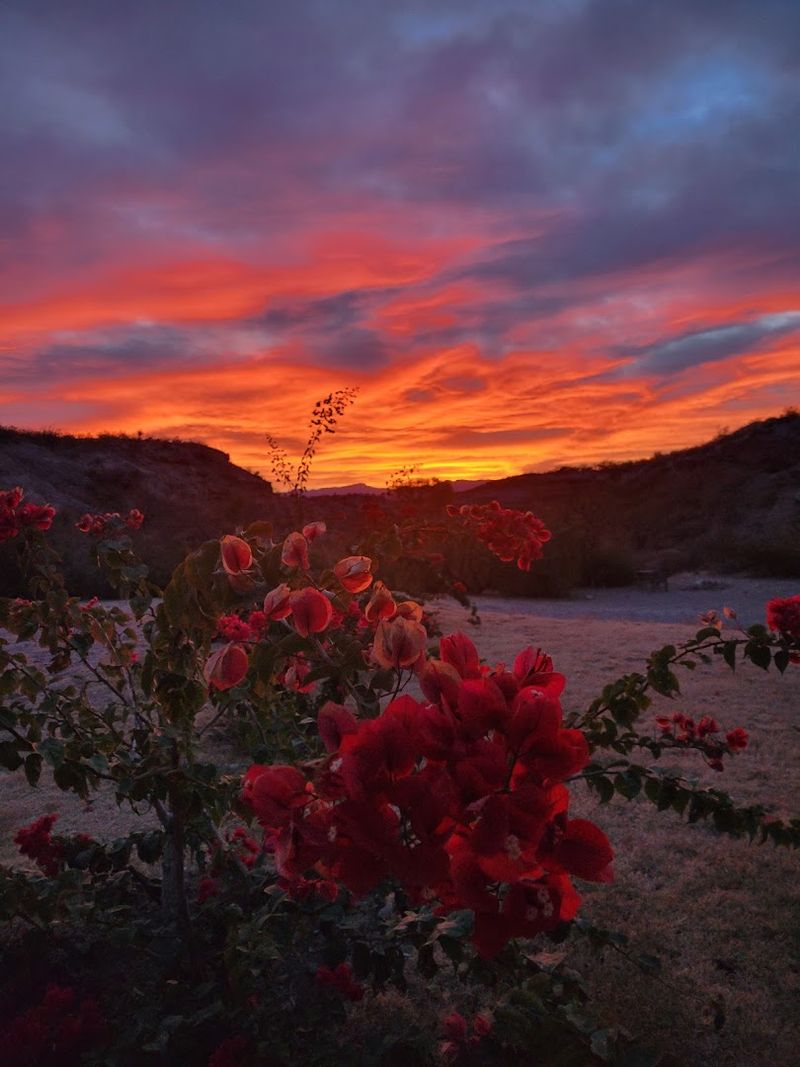 Stargazing So Good It Feels Almost Unfair