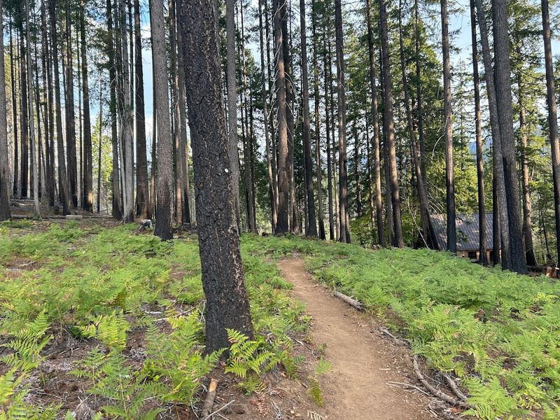 Yoga, Meditation, and Wellness Programs