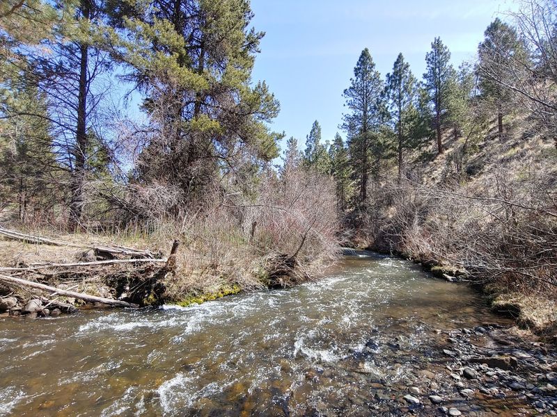 Whychus Canyon Preserve, Sisters, Central Oregon