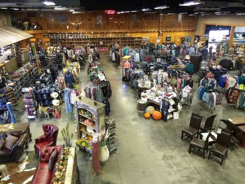 Tack Room Treasures: Everything Your Horse Needs Under One Roof