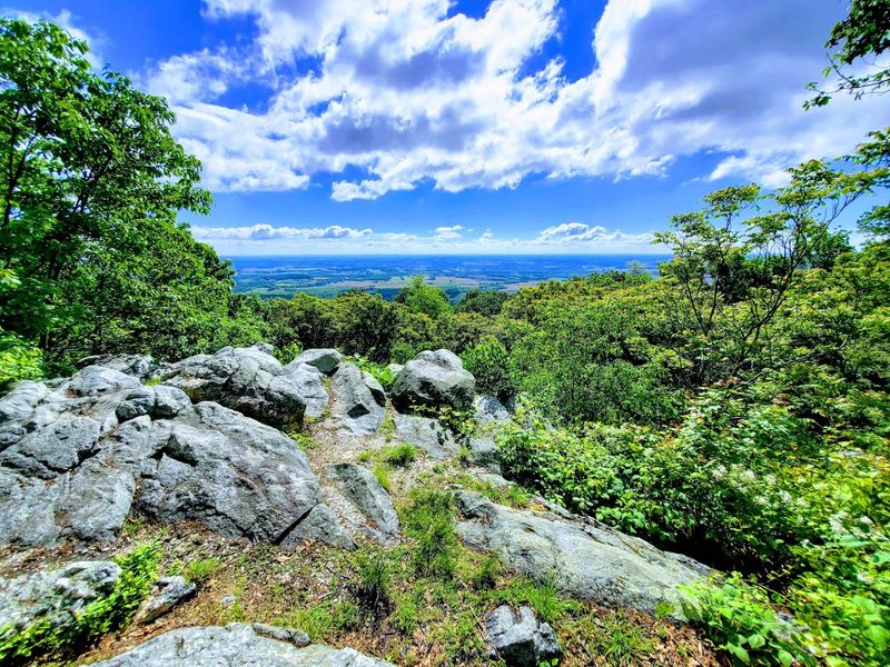 The Catoctin Mountains: The Wild Setting Around the Falls