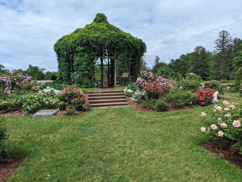 Parks and Green Spaces That Keep the Town Breathing