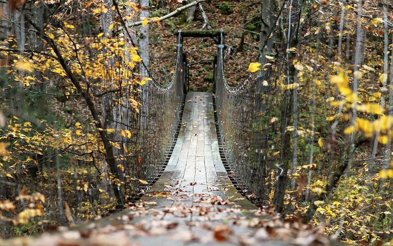 Mill Run Suspended Bridge and Swimming Hole, Williamsville