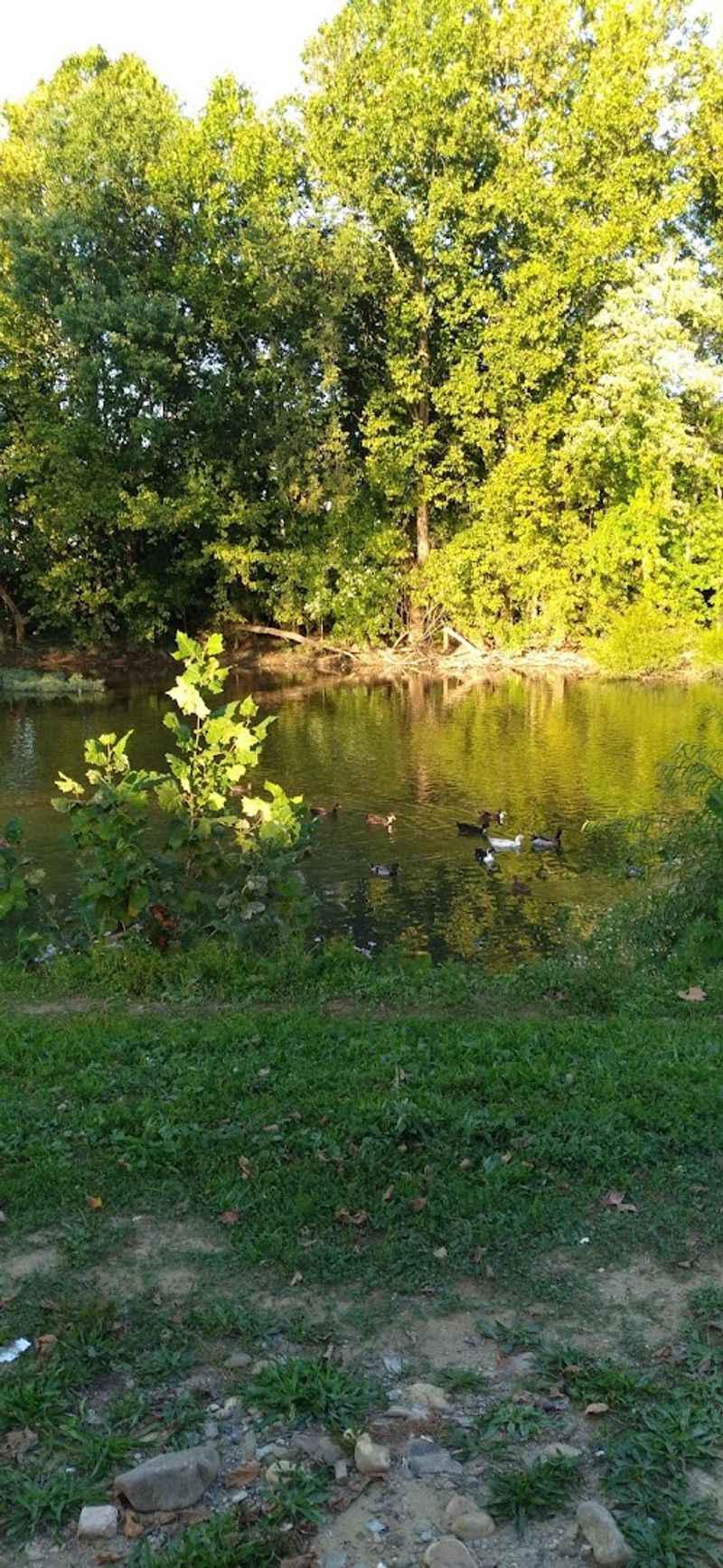 Longwood Park and Salem's Green Spaces