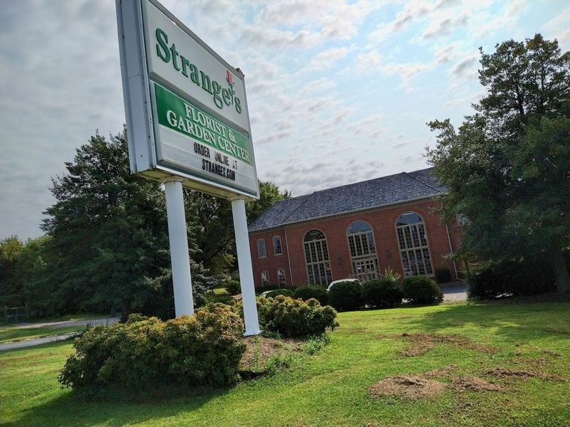 Gardening Knowledge You Cannot Google