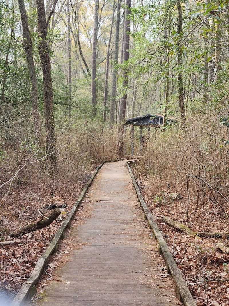 The Great Dismal Swamp and Lake Drummond, Chesapeake