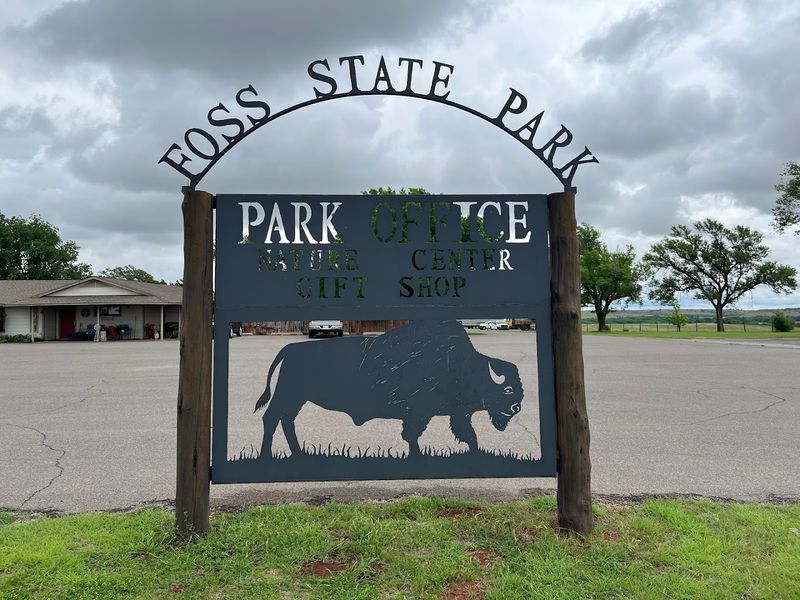 The Visitor Center and Its Quiet Surprises