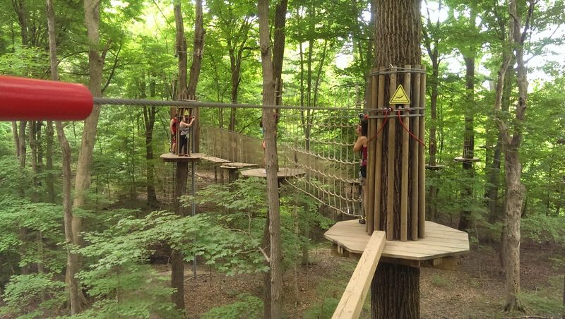 Heart-Pounding Tarzan Swings That Test Your Courage