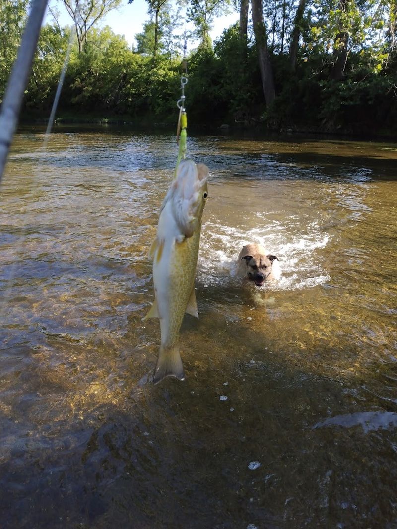 Excellent Fishing In Accessible Waters