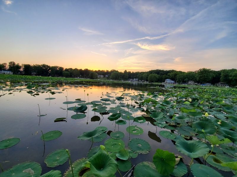 Proximity to Bloomington and Local Attractions