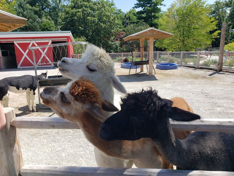 Accessibility Features That Make Everyone Feel Welcome