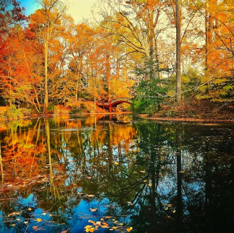 Photography Paradise on Campus